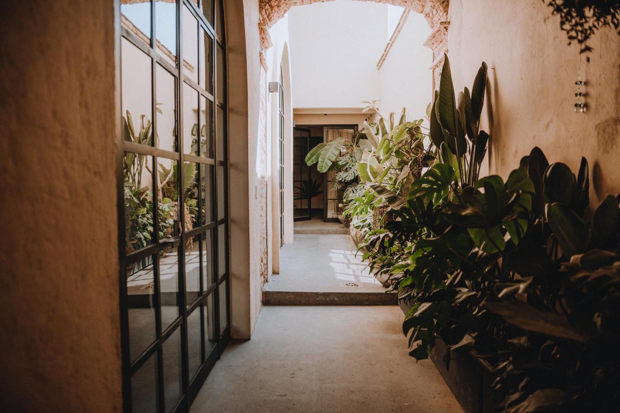 Casa Realm Otel Querétaro Dış mekan fotoğraf